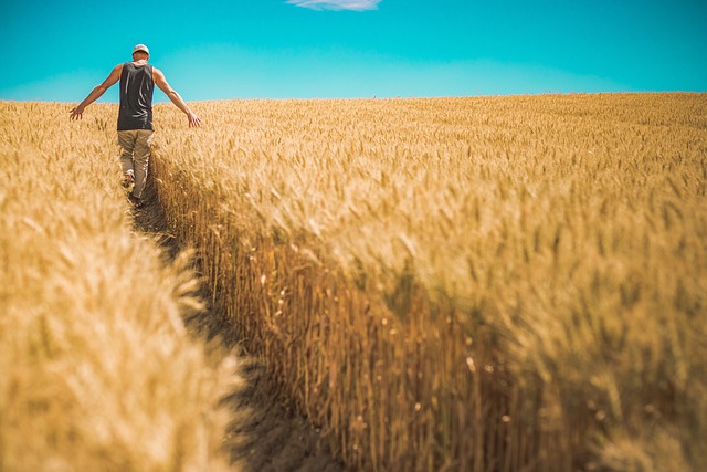 CCNL quadri e impiegati agricoli. Accordo di rinnovo. Prime indicazioni