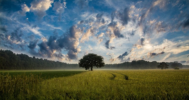 Analisi di dettaglio delle riserve idriche in ambito agricolo, situazione al 30 aprile 2026