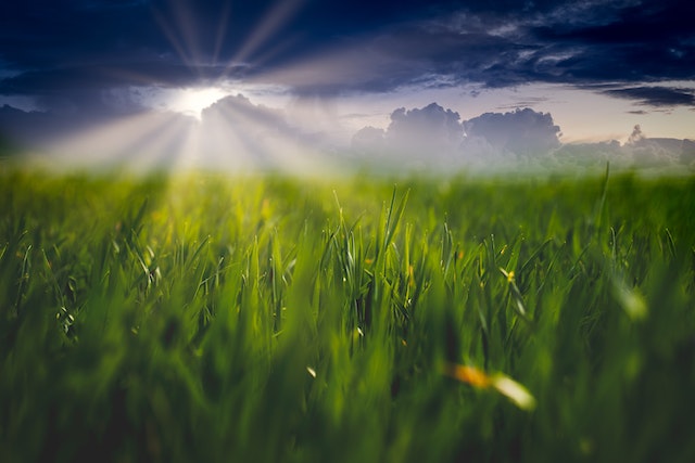 Analisi di dettaglio delle riserve idriche in ambito agricolo, situazione al 12 giugno 2026