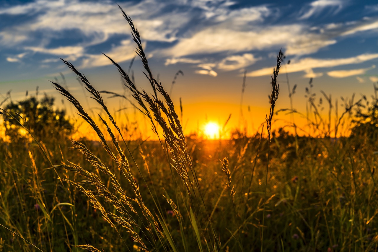Analisi di dettaglio delle riserve idriche in ambito agricolo, situazione al 26 giugno 2026
