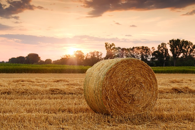 Analisi di dettaglio delle riserve idriche in ambito agricolo, situazione al 7 agosto 2026