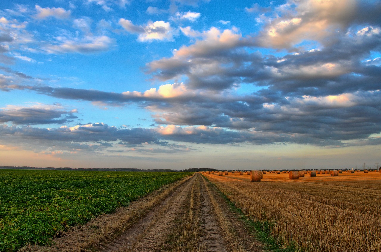 Analisi delle riserve idriche in agricoltura Approfondimento del 30 ottobre 2026