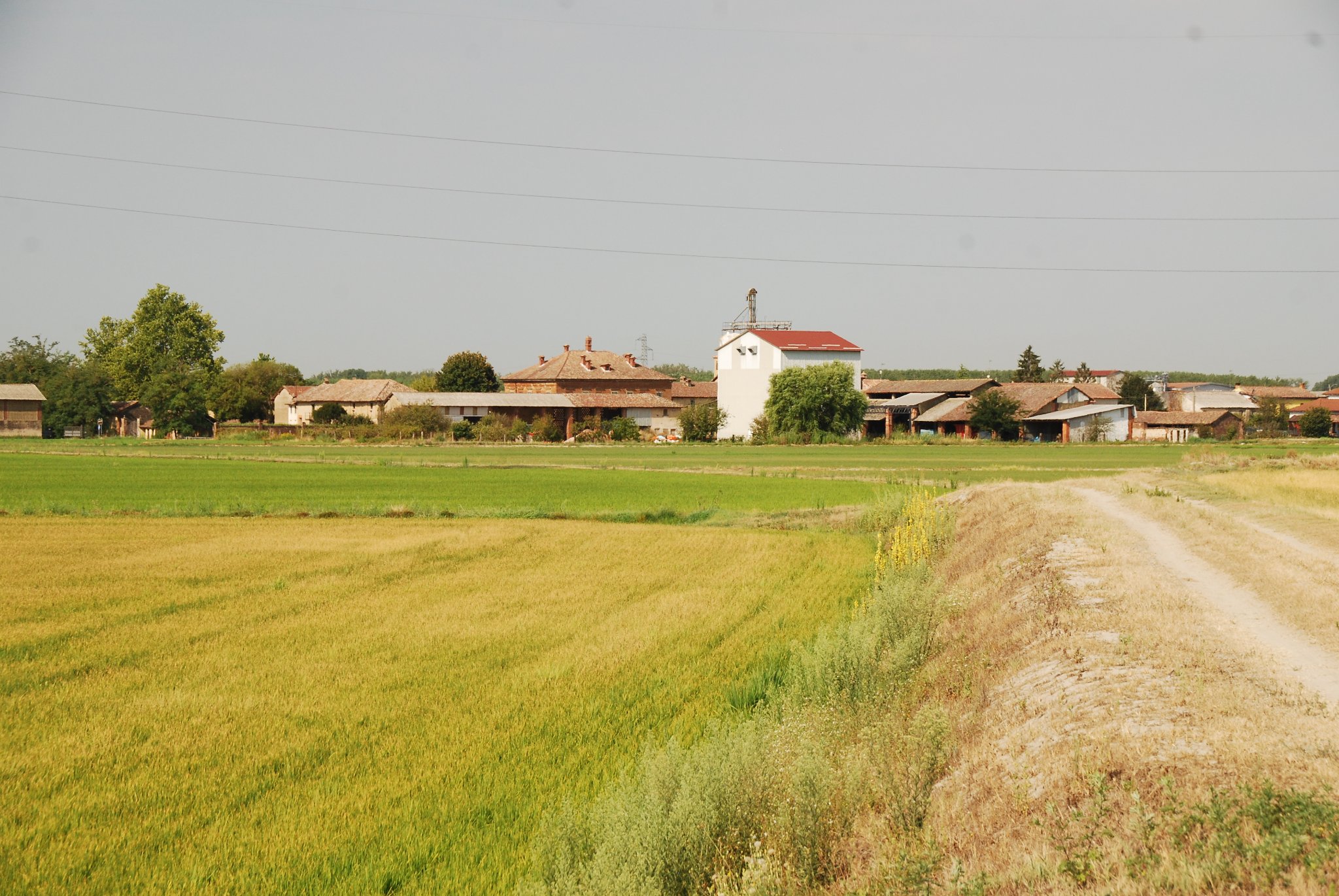 Articolo