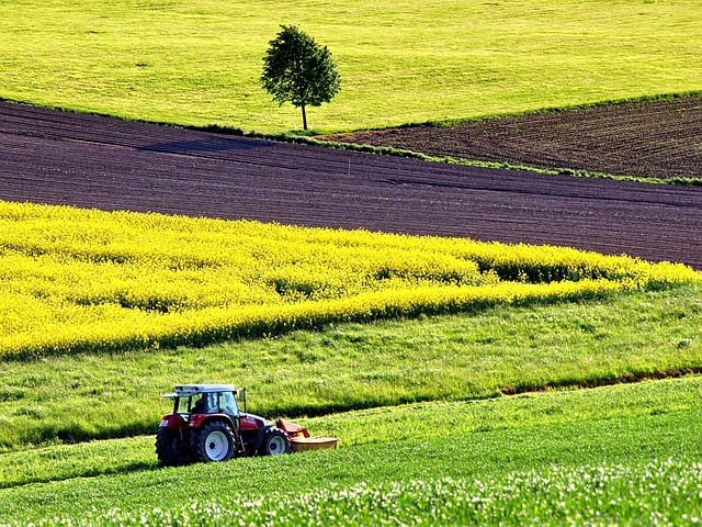 Foto articolo
