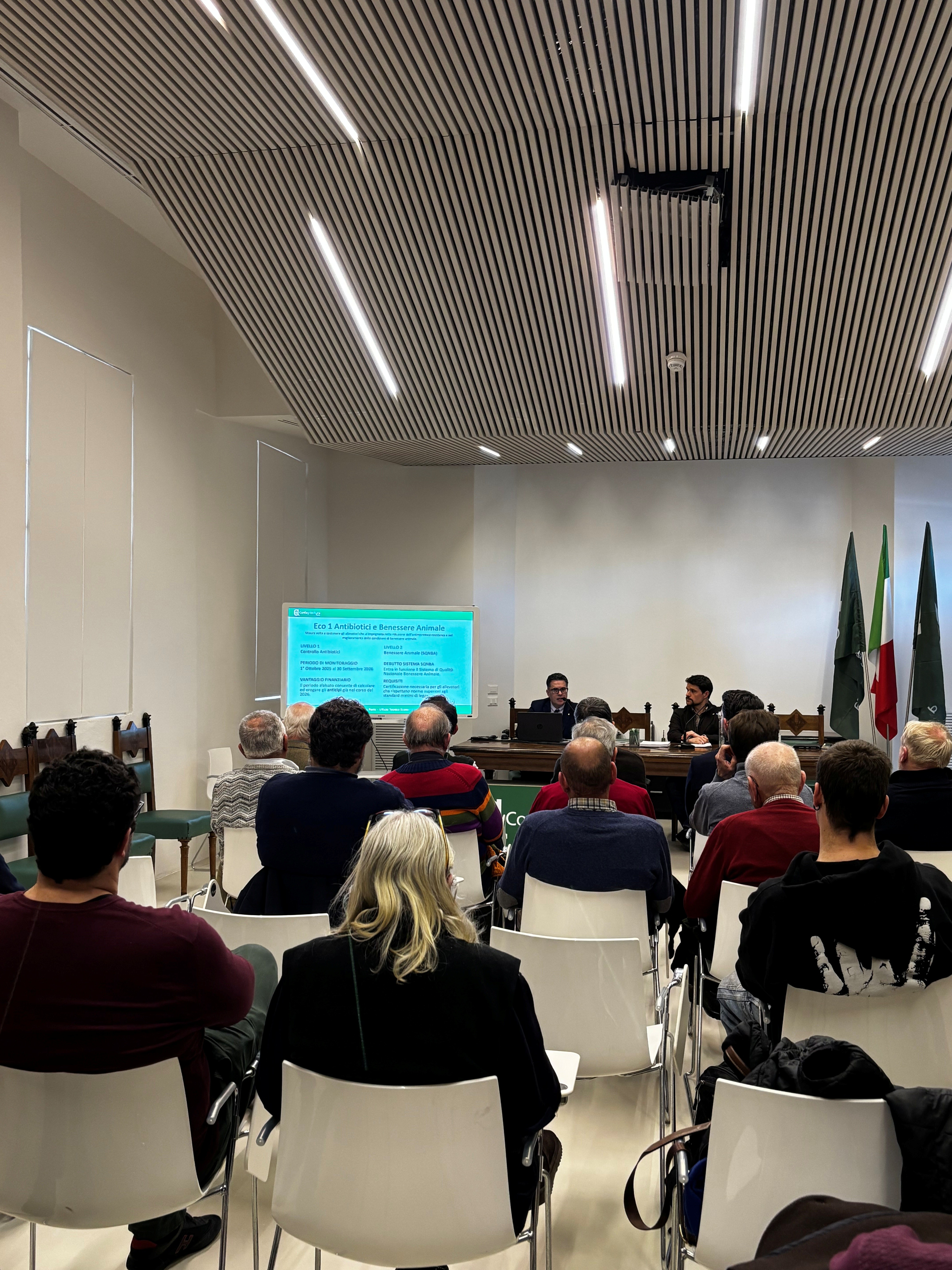 Articolo
