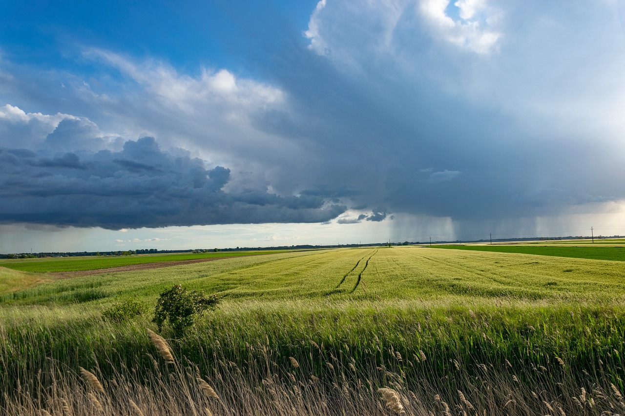 Analisi di dettaglio delle riserve idriche in ambito agricolo, situazione al 16 maggio 2025